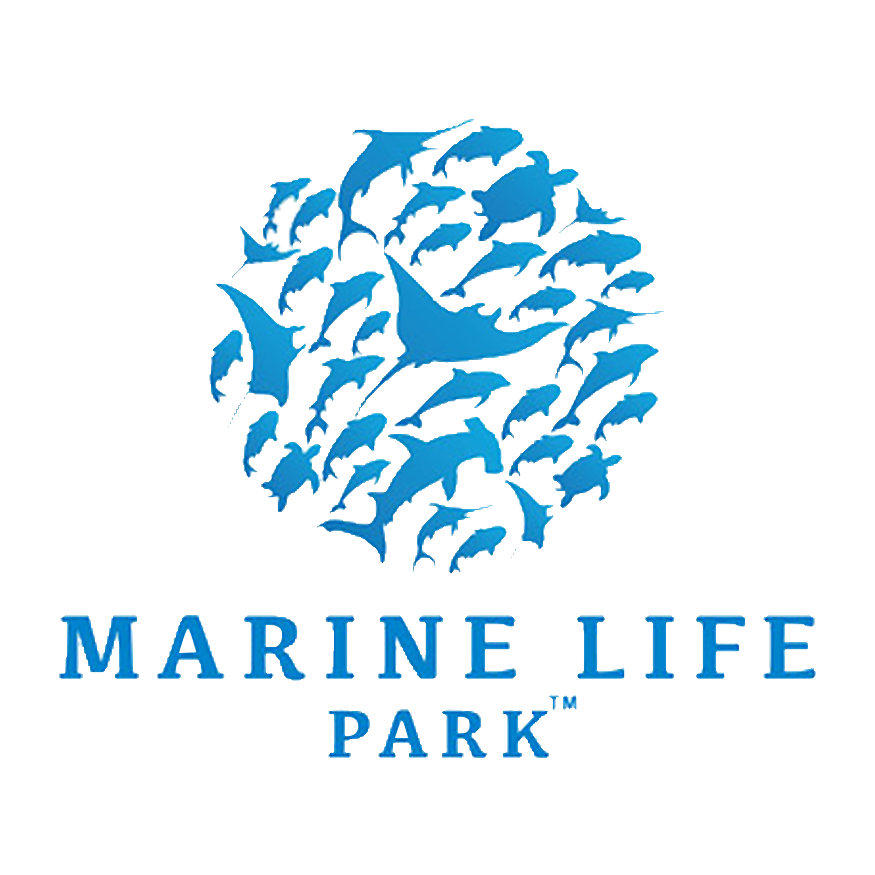 marine life park singapore